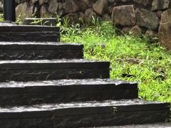 -东莞植物园