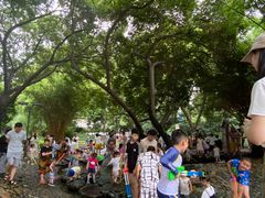 -成都市活水公园