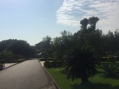 -大湾区中央湿地公园