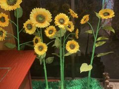 -巴盟人家·内蒙地方菜(华丽家族店)