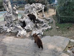 -成都动物园