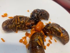 -了能菜·传统特色粤菜·虫宴