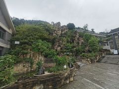 -老幺泉水鸡
