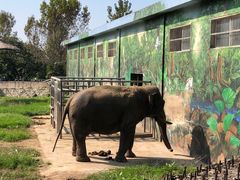 -西安秦岭野生动物园