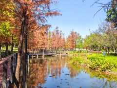 -映月湖公园