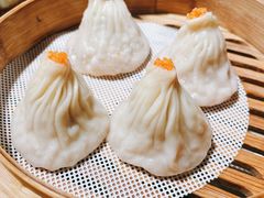 -点都德·毕德寮