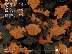 -循礼门鲜花花市(武汉循礼门店)