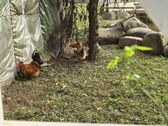 -前小桔亲子创意农场·草莓采摘·露营烧烤