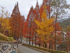 -四川省成都市彭州市白鹿镇