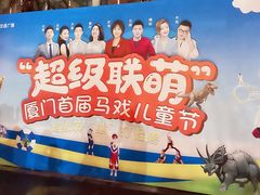-灵玲国际马戏城