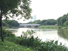 -海珠湖公园