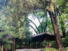 -晋祠公园