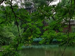 -北京动物园-畅观楼