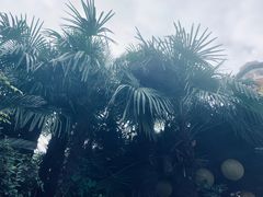 -杭州第一世界大酒店·云曼温泉
