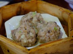 猪肉丸-优之名鹅城