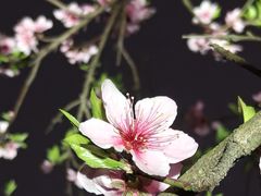 -滨湖塘西河公园