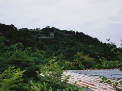 -福道