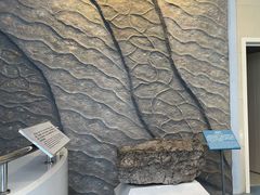 -延庆地质公园博物馆