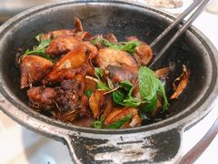 三杯鸡-县爷土鸡屋