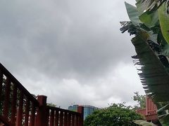 -宝安西湾红树林湿地公园