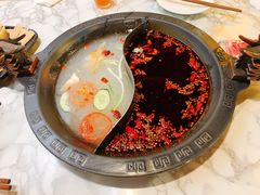 -杨家火锅(国美店)