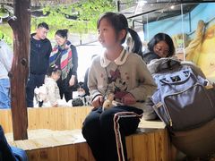 -昆明大悦城未来动物城(螺蛳湾中心店)