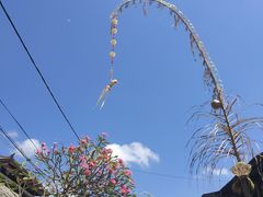 -乌布德传统市场