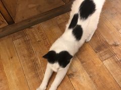 -么么咖啡(燕郊店)