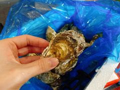 -白沙洲农产品大市场海鲜交易区