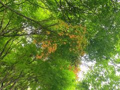 -北山街历史文化街区