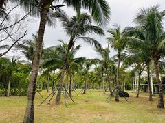 -白沙门生态公园