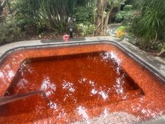 -广州从化都喜泰丽度假温泉酒店