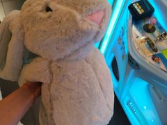 -PAWTOY爪e玩偶店(天兴罗斯福店)