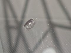 -福耀汽车玻璃(浦东店)