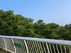 -飞凤山奥体公园