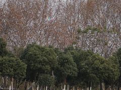 -钟山体育运动公园