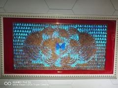 -上海昆虫博物馆