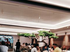 -南海渔村(珠江新城店)