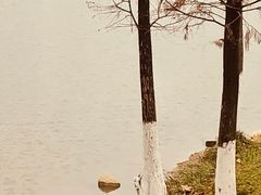 -飞来湖湿地公园