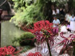 -绮园景区