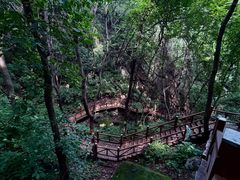 -大岭沟猕猴桃谷风景区