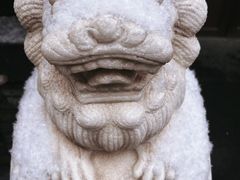 -粤凤佬
