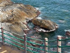 -广东惠东海龟国家级自然保护区