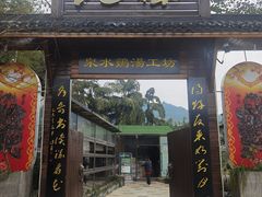 -先机泉水鸡汤(南山老君洞店)