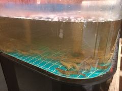 -徐记海鲜(大雁塔|金都店)