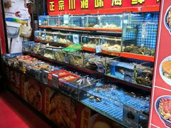 -三亚亚龙湾雅高美爵酒店