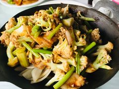 -京北渔家傲