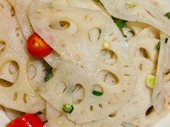 -壹盏灯(惠农店)