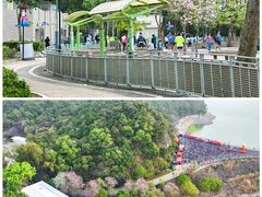 -YHA白普理赛马会大美督青年旅舍(大埔)