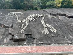 -哈尔滨北方森林动物园